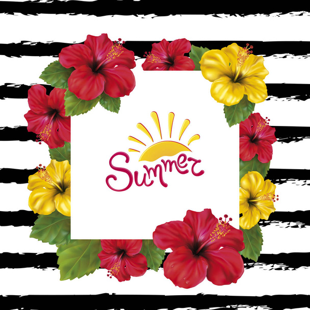 Summer time and Hibiscus - Vector, Image