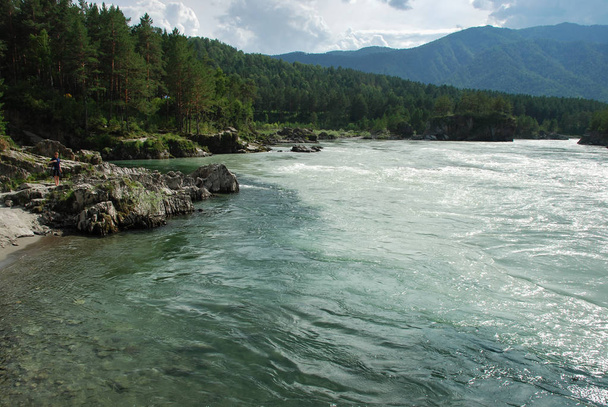 Altai, Russia, mountain river Katun, panorama, forest, wild landscape, beautiful nature - Zdjęcie, obraz