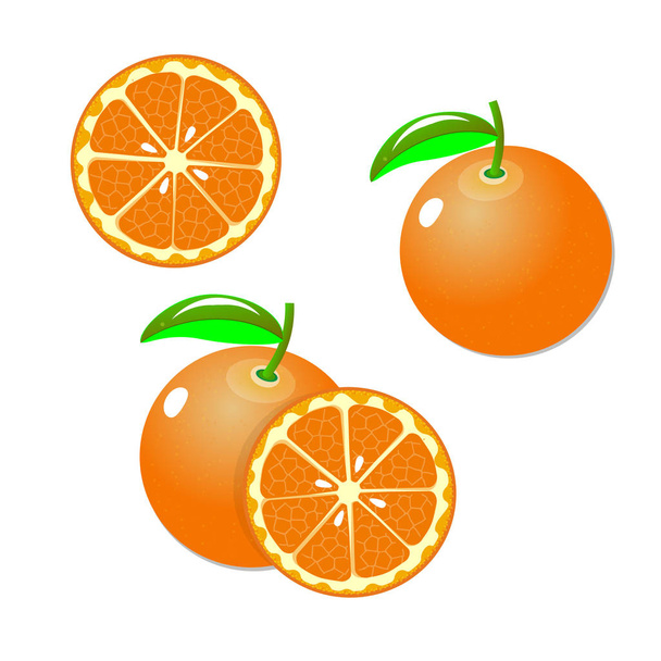 Collection of whole and sliced orange fruits isolated on white background. Vector - Vektör, Görsel