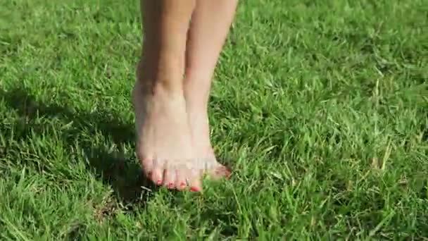 dziewczyny, chodzenie na zielony trawnik stopy zbliżenie - Materiał filmowy, wideo