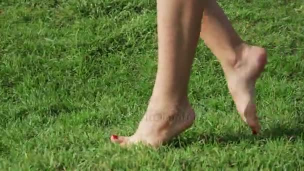 Nohy dívky chůze po trávníku detail - Záběry, video