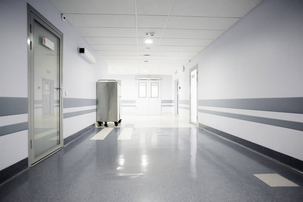 Light corridor of a modern hospital - Photo, Image