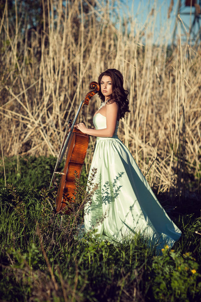 Girl with a cello in a tall grass - Φωτογραφία, εικόνα