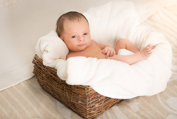 Portrait of cute newborn baby boy lying in big wicker basket - Photo, Image