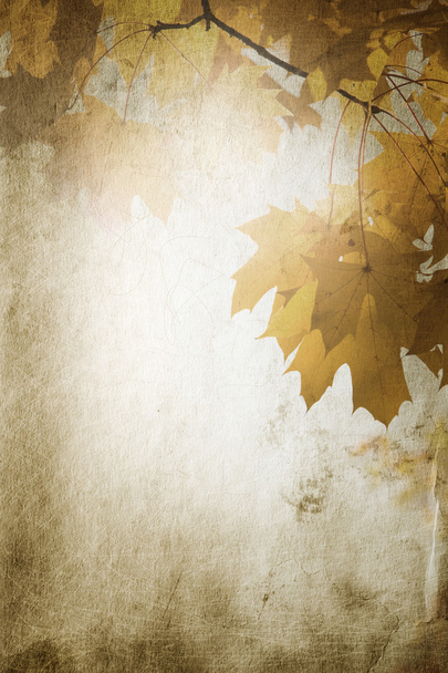 otoño de cosecha
 - Foto, Imagen