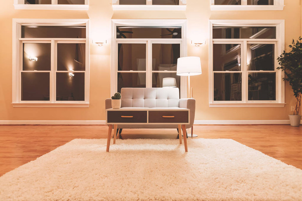Large luxury interior living room - Фото, зображення