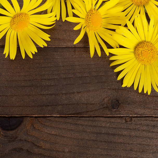 Yellow chamomile on wooden background - Photo, Image