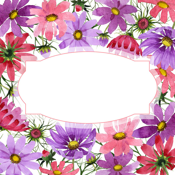 Wildflower kosmeya flower frame in a watercolor style isolated. - Foto, imagen