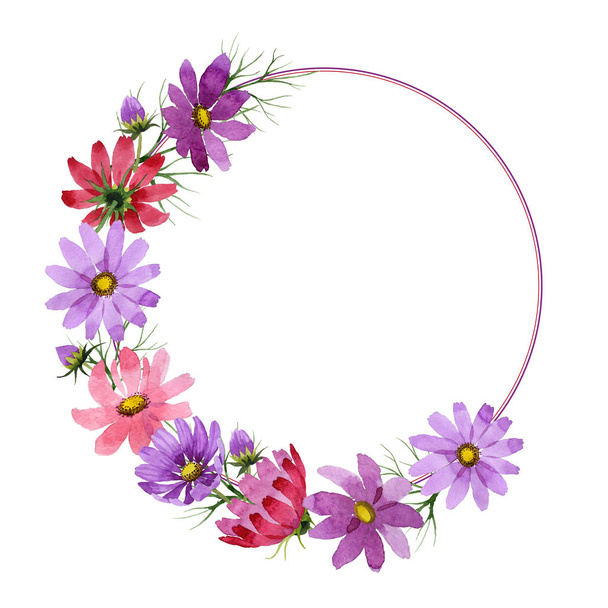 Wildflower kosmeya flower frame in a watercolor style isolated. - Foto, Bild
