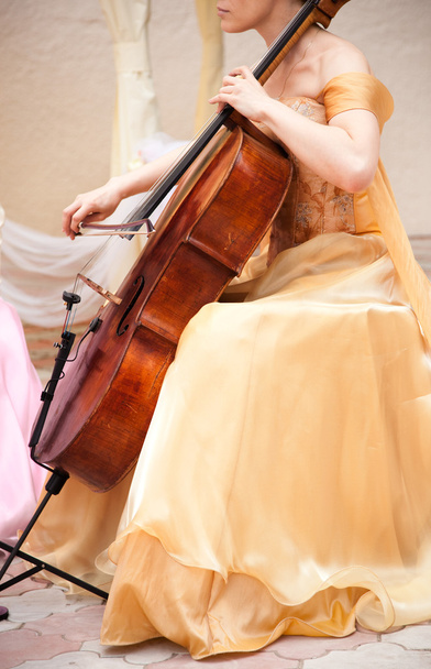 cello musician - Фото, зображення