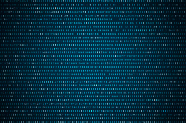 codice binario del computer
 - Foto, immagini