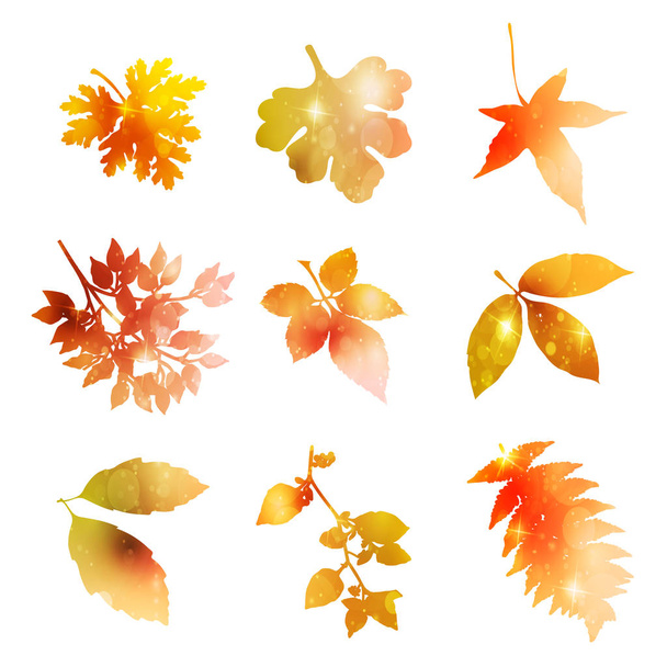 Maple autumn leaf icon - Vektori, kuva