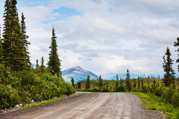 Highway in Alaska, Yhdysvallat - Valokuva, kuva
