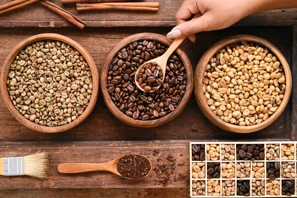 Freshly ground coffee beans in a metal filter and different coffee beans - Fotoğraf, Görsel