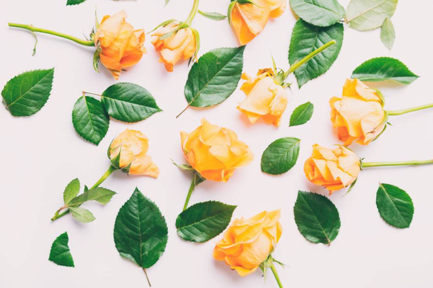 Gele rozen en bloemblaadjes - Foto, afbeelding