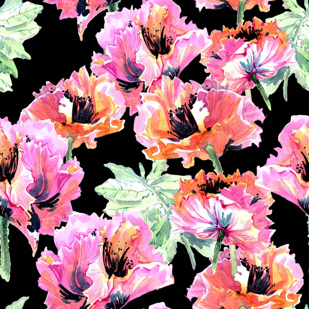 Wildflower poppy flower pattern in a watercolor style isolated. - Photo, image
