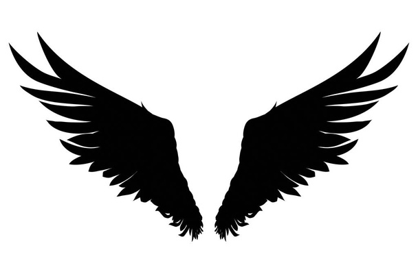 Wings. Vector illustration on white background. Black and white   - Vektori, kuva