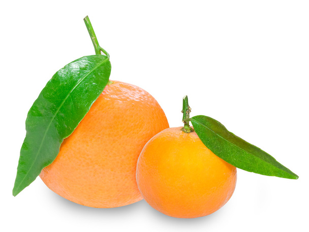 Citrus - Photo, Image