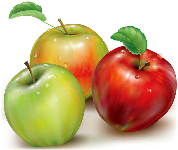Three vector of apples on white background - Vector, Image