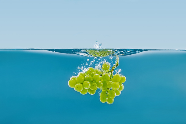 branch of grapes falling into water with splashes - Photo, Image