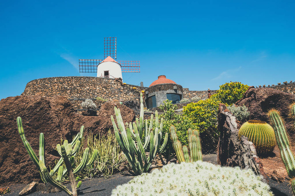 ΑΝΕΜΟΜΥΛΟΣ σε τροπικά κάκτος κήπο στο χωριό Guatiza, το δημοφιλές αξιοθέατο στο Λανζαρότε, Κανάριοι Νήσοι - Φωτογραφία, εικόνα