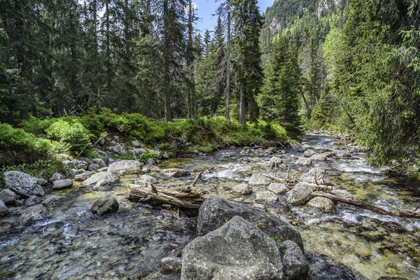 Fast mountain river. - Photo, Image