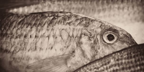 魚市場、カンヌ - 写真・画像