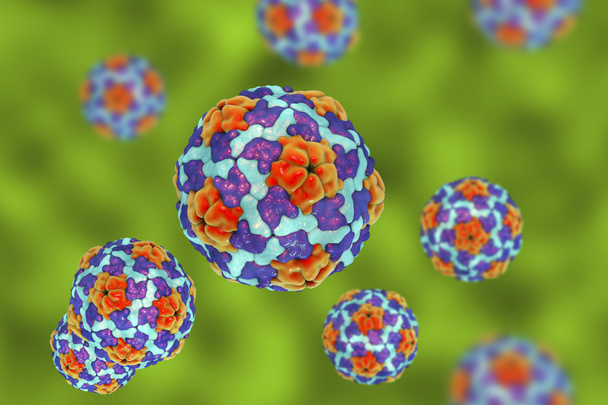 Virus de l'hépatite A sur fond coloré
 - Photo, image