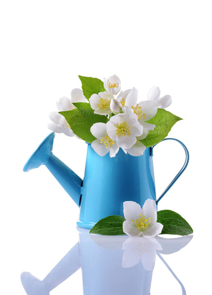 Bouquet of white jasmine flowers with leaves in blue watering can - Foto, imagen