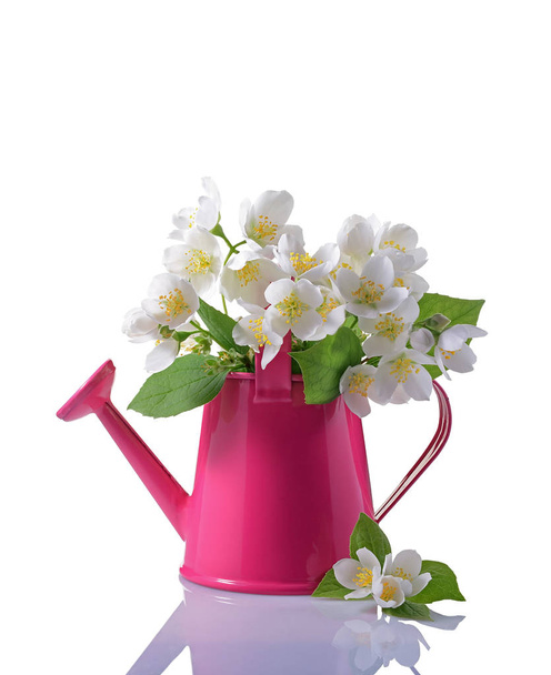 Bouquet of white jasmine flowers with leaves in pink watering can - 写真・画像