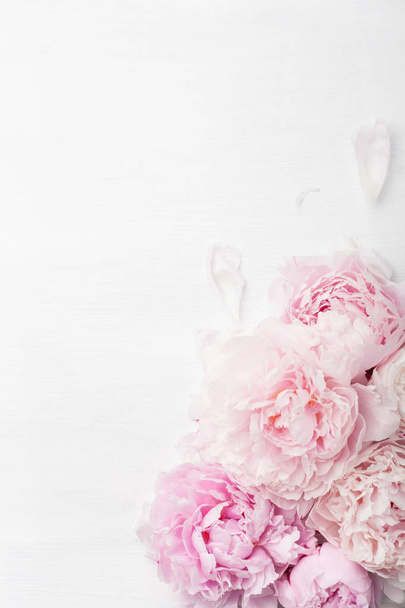 beautiful pink peony flower background - Foto, imagen