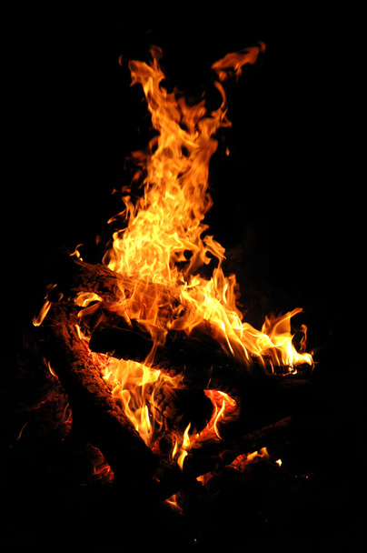 Camping Fire - Photo, Image