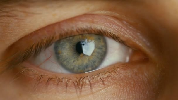 Close-up of a Blinking Man's Eyes. It's Grey with Brown Dots. Dilating Iris. Shot in Warm colours. - Video