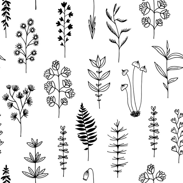 Seamless background with herbs and flowers - Vector, afbeelding