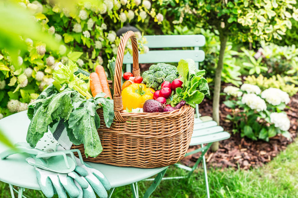 Garden - colorful spring vegetables in wicker basket - Fotografie, Obrázek