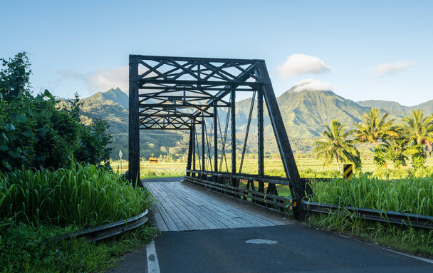 Παλιά μεταλλική δοκός γέφυρα στον δρόμο να Διασκεδάστε με την οικογένεια Καουάι - Φωτογραφία, εικόνα