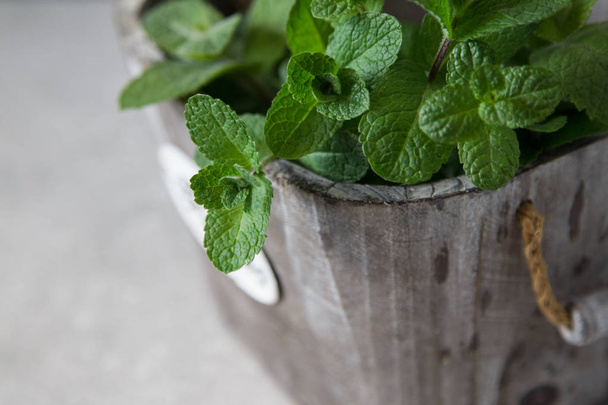 Fresh mint leaves herb. selective focus, copy space - Photo, Image