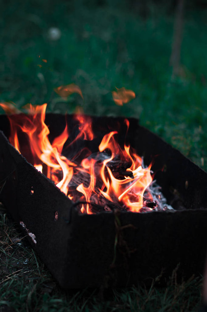 Bir şenlik ateşi ile arka plan bulanık bir ormandaki doğada. - Fotoğraf, Görsel