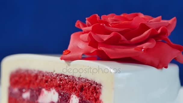 Λευκή τούρτα με σοκολατένια στολίδια και κόκκινες αμυγδαλωτά αυξήθηκε σε σκούρο μπλε φόντο. τούρτα διακοσμημένη με βρώσιμα κόκκινα τριαντάφυλλα, κοντινό πλάνο - Πλάνα, βίντεο