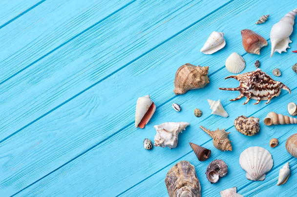 Sea shells, textured blue background. - Photo, Image