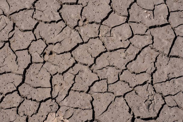 ξηρή ραγισμένη υφή γης - Φωτογραφία, εικόνα