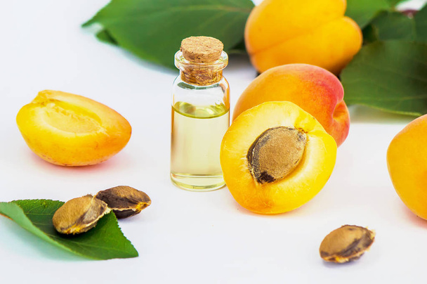 the apricot kernel oil. - Photo, Image