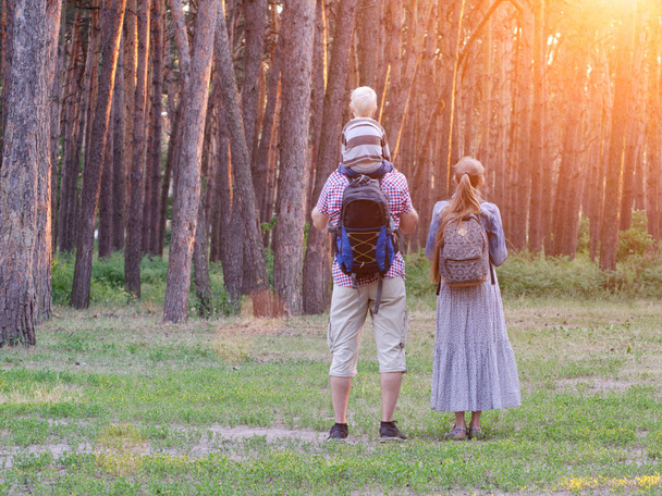 Padre, madre e hijo pequeño parados frente al bosque, vista trasera. Tiempo de puesta del sol
 - Foto, Imagen