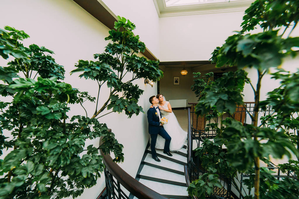 Heureux mariés posant dans les escaliers levant les yeux. Feuilles de plantes vertes au premier plan
 - Photo, image