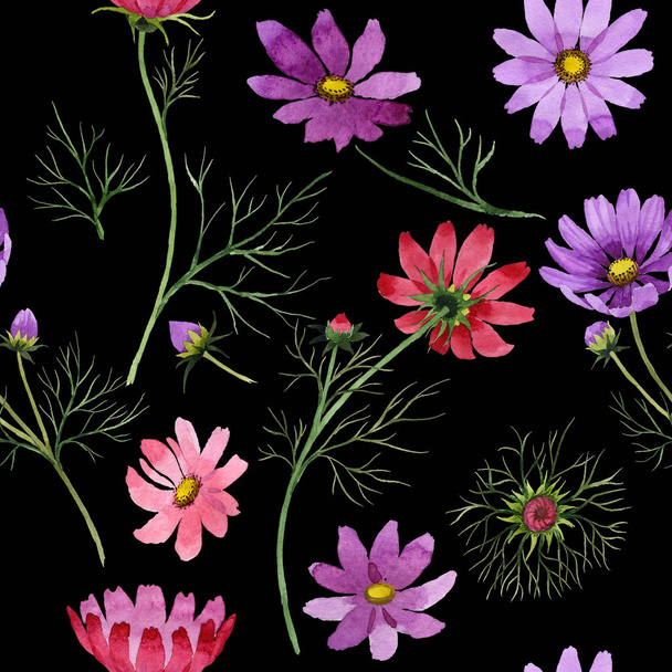 Flor silvestre patrón de flores kosmeya en un estilo de acuarela aislado
. - Foto, Imagen