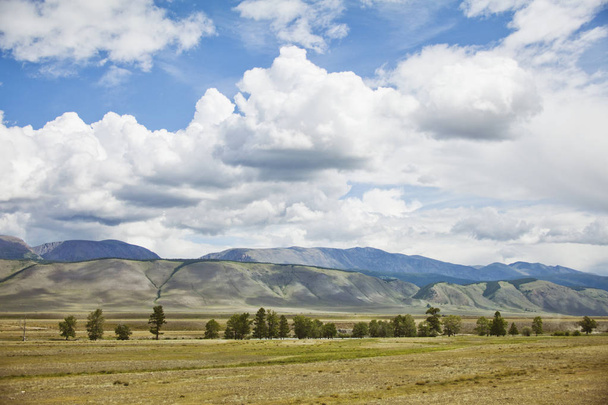 Estepes Kurai. Altai montanha verão paisagem
 - Foto, Imagem
