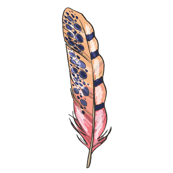 Colorful detailed beige and pink bird feather, isolated on white background. Vector illustration. - Vector, afbeelding