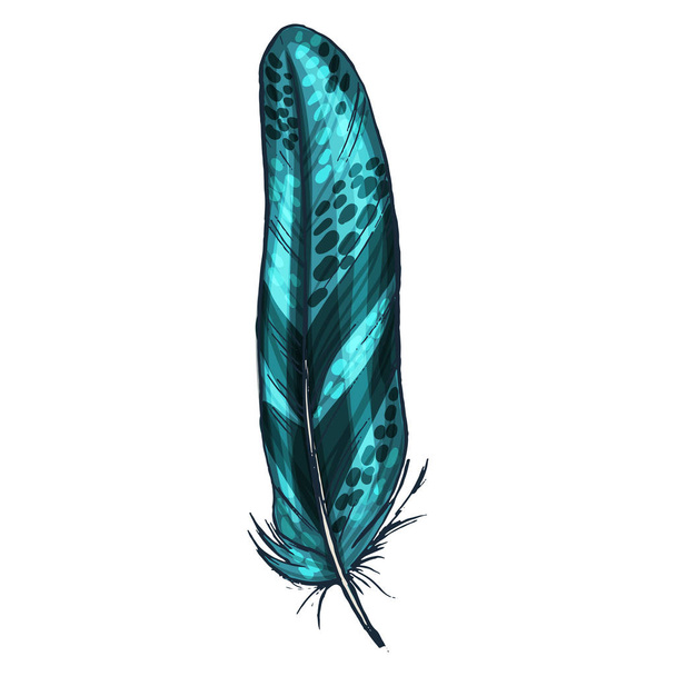 Colorful detailed green bird feather, isolated on white background, Vector illustration. - Vector, afbeelding