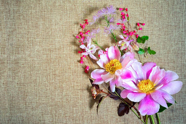 zarten Hintergrund der chinesischen Suffruticosa-Blumen und Wildblumen auf einem Leinwandhintergrund, Draufsicht mit Kopierraum - Foto, Bild