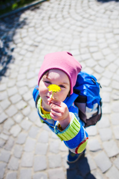 Το αγόρι με το σακίδιο δείχνει μια πικραλίδα λουλούδι. - Φωτογραφία, εικόνα